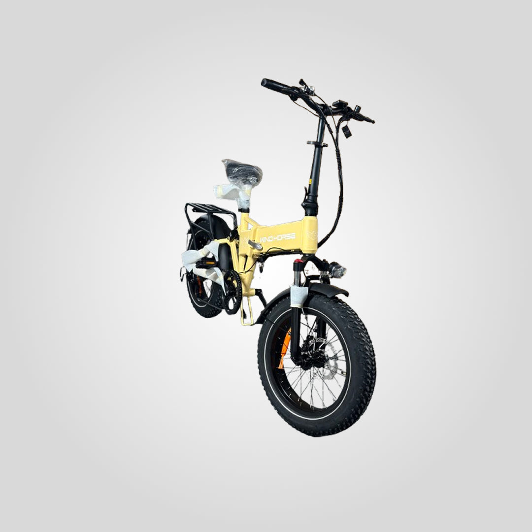 Bicicleta Electrica WH2001