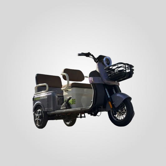 Trimoto M2 - FAMILY 2