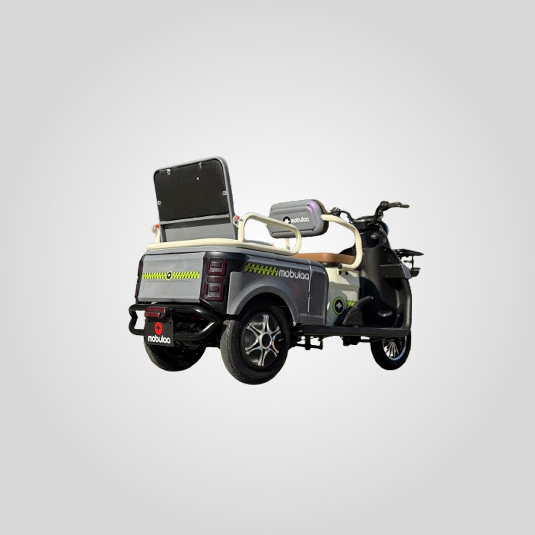 Trimoto M2 - FAMILY 2