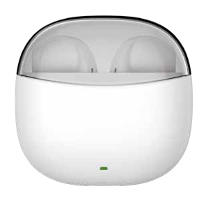 L21 TWS