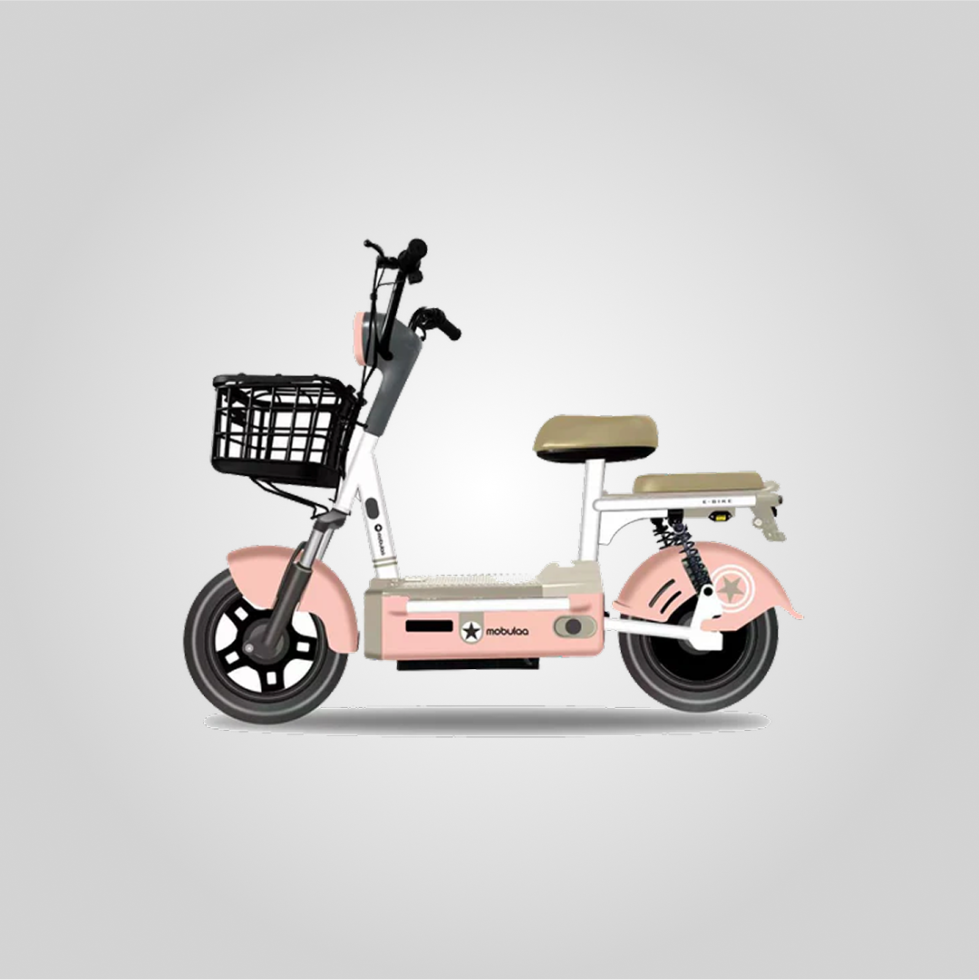 EB-1S ELFO (Bateria extraible)