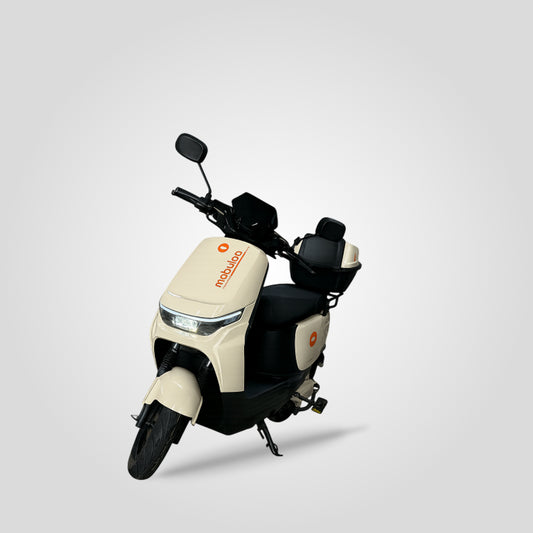 EB16 Principe