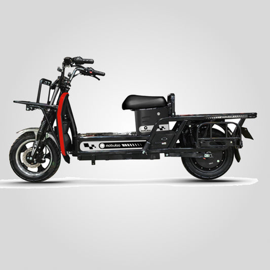 Moto Electrica Hercules