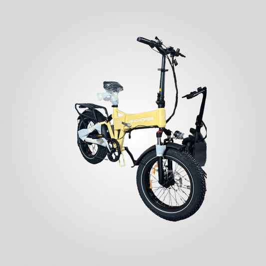 Bicicleta Electrica WH2001