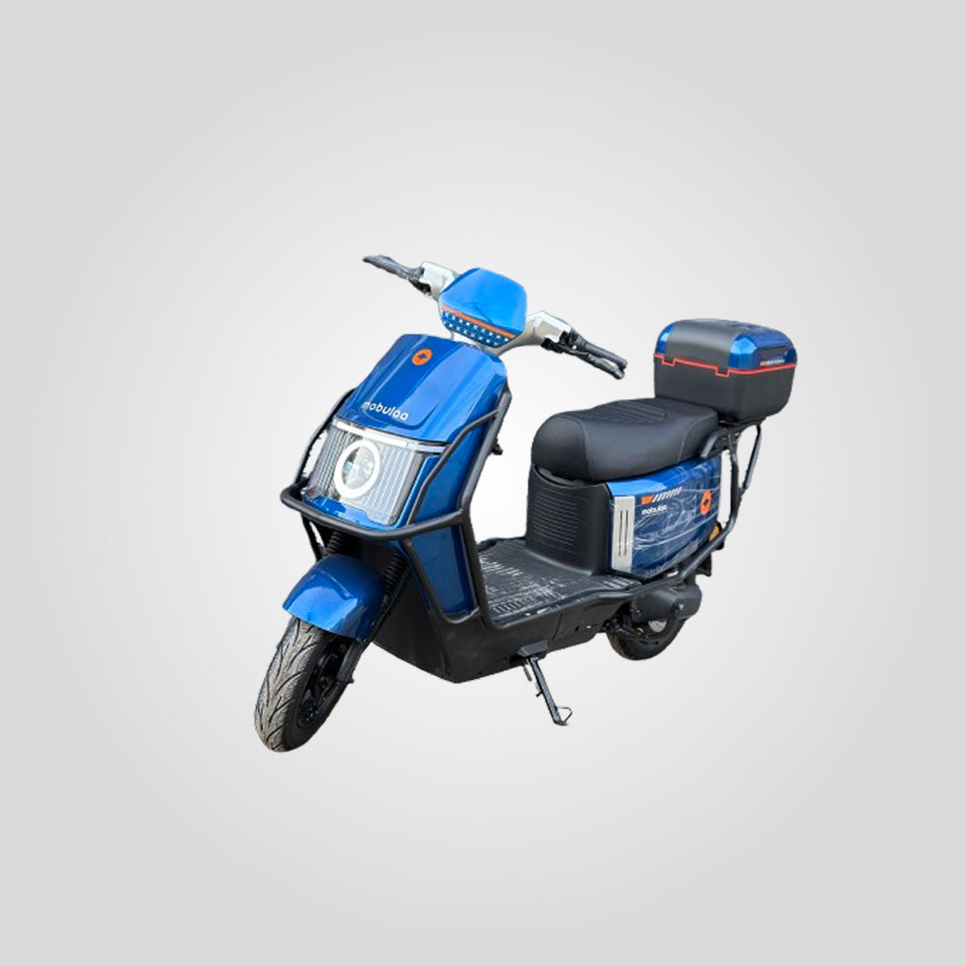 EB-11 APOLO