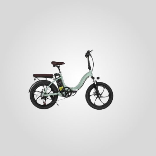 Bicicleta Electrica E20